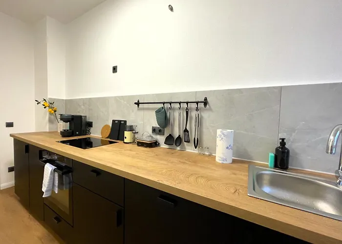 Lägenhet Urbansuites - Stylish I Koblenz Center I Kitchen I Up To 115m2